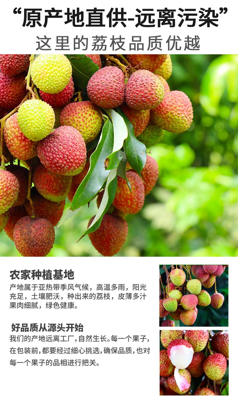 颖翊臻选:行业风尚的引领者