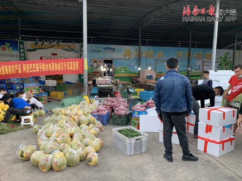 选购指南:如何挑选最适合您的家居用品